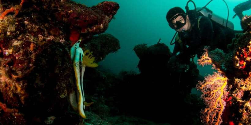 Scuba Diving in Boracay: SSI Basic Diver for Beginners - Safety Skills You Practice Before You Go Under