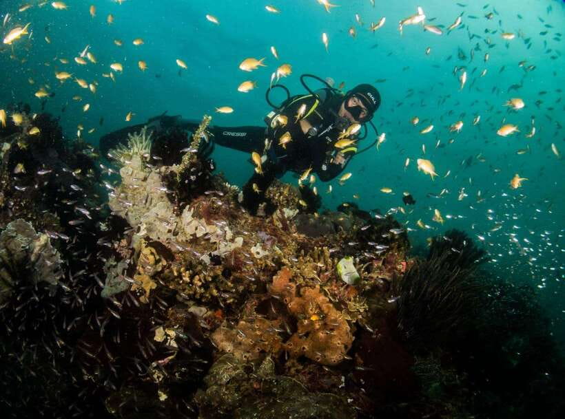 Scuba Diving in Boracay: SSI Basic Diver for Beginners - Practical Tips for a Smooth Day in Boracay Waters