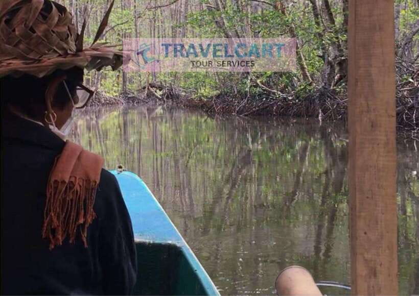 Shared Underground River with Mangrove Paddle Boat & LUNCH - Hotel pickup and the Sabang transfer, what to expect from the start
