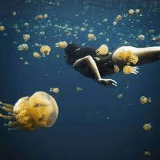 Siargao:Sohoton Island Hopping Tour with Jellyfish Sanctuary - Tiktikan Lake or Dagatan Bay: The Reset Stop Before the Beach