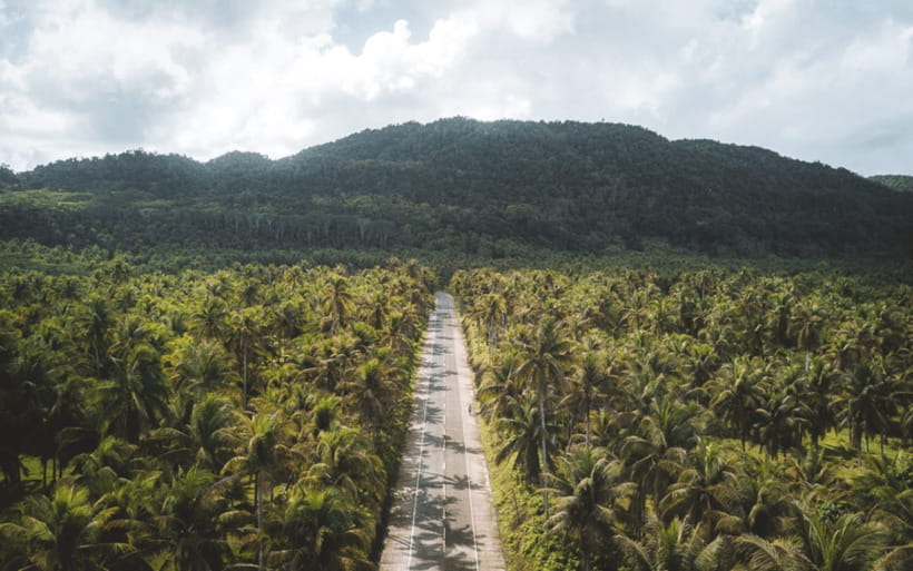 Siargao Tour G (Private Tour) - Key Things You’ll Notice on Siargao Tour G