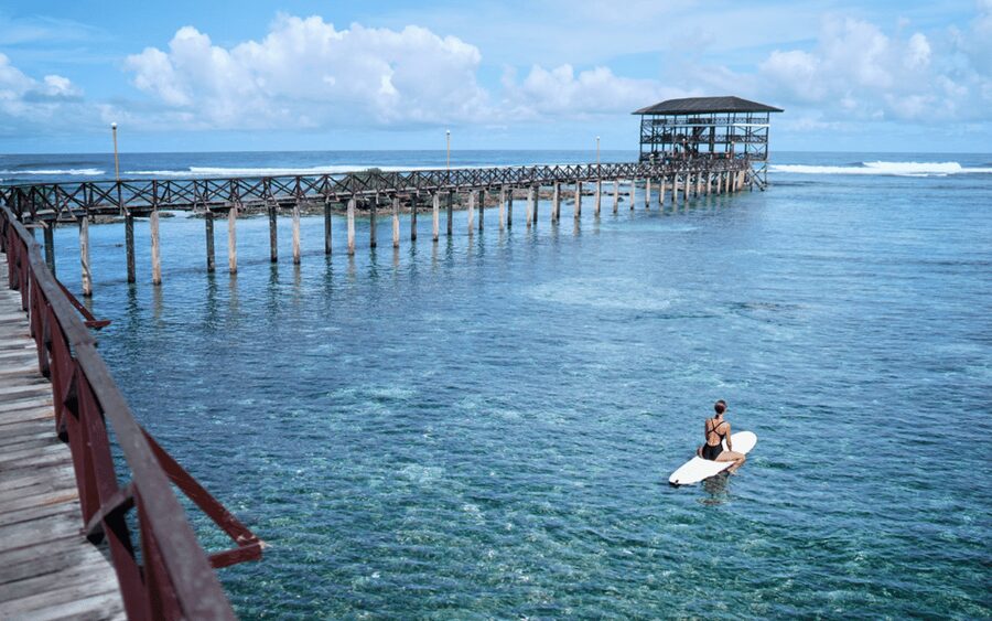Siargao Tour G (Private Tour) - Coconut Mountain View and Coconut Road: Your Picture-Perfect Buffer Stops