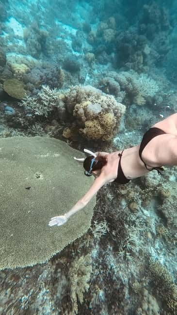 Siquijor: Jeepney Island Tour with Snorkeling - Key Things You’ll Notice Right Away
