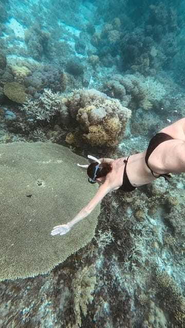 Siquijor: Jeepney Island Tour with Snorkeling - Price and Value at $86 for a 7-Hour Private Tour