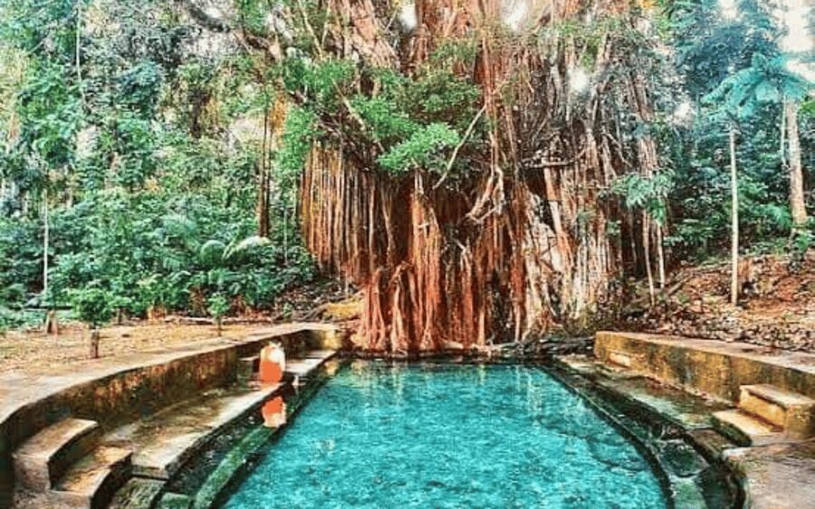 Siquijor Mountain Day Tour From Dumaguete (Private Tour) - Price and What You Actually Get for $135 Per Person