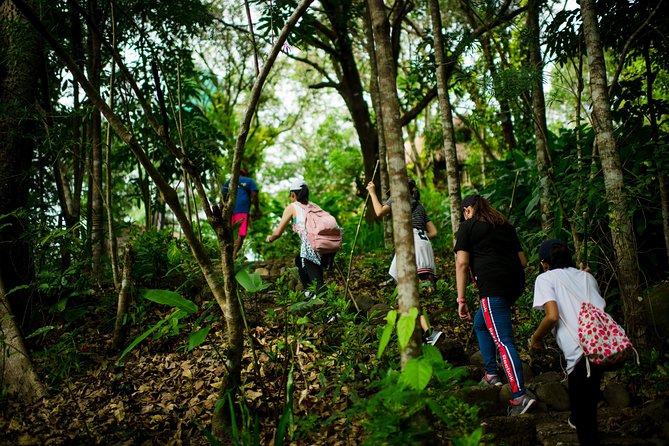 Skip the Line: Hike Eat Swim at Mount Purro Nature Reserve Ticket - A Day Pass That Mixes Nature Time With Real Hangout Comfort