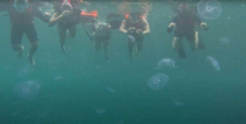 Sohoton Cove: Swim with Jellyfish & Explore Hidden Lagoons - Hidden lagoons and clear water: what the lagoon stops are actually for