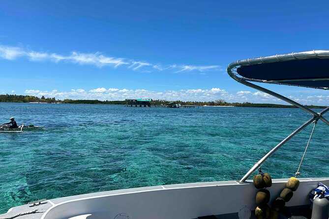 Twin Island Snorkeling Adventure at Hiltungan and Nalsuan - Price and value: is $140 per person worth it in Cebu?