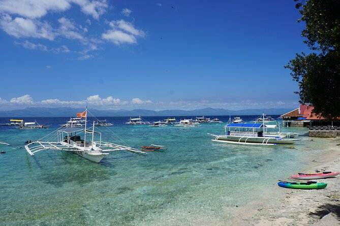 Whale Shark, Canyoneering, Sardines Run and Turtles with Transpo - Stop 1: Oslob whale shark watching and swimming