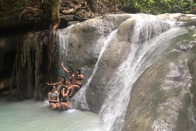 Whale Shark Swimming Experience and Aguinid Falls from Cebu - The 4:00 am Pickup and How to Handle a 10-Hour Day Without Going Crazy