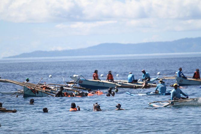 Whale Shark Swimming Experience and Aguinid Falls from Cebu - Aguinid Falls: The Five-Tier Climb, Pool Time, and Where It Can Get Tricky