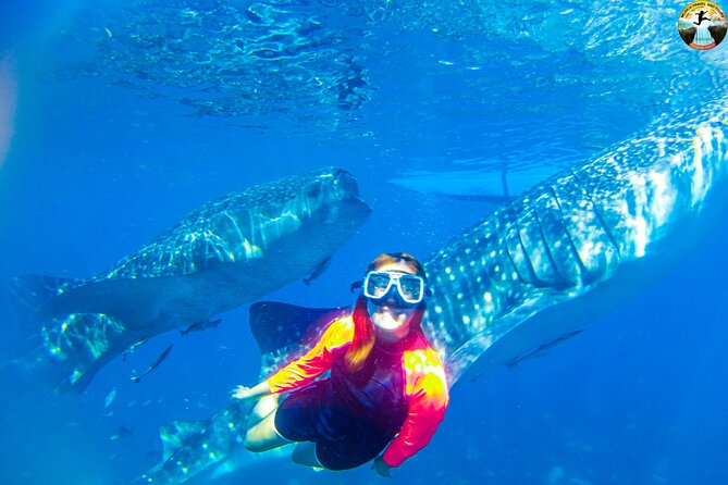 Whale Shark Swimming, Tumalog Falls and Kawasan Canyoneering - Tumalog Falls: A Short Waterfall Stop That Still Feels Like a Reset