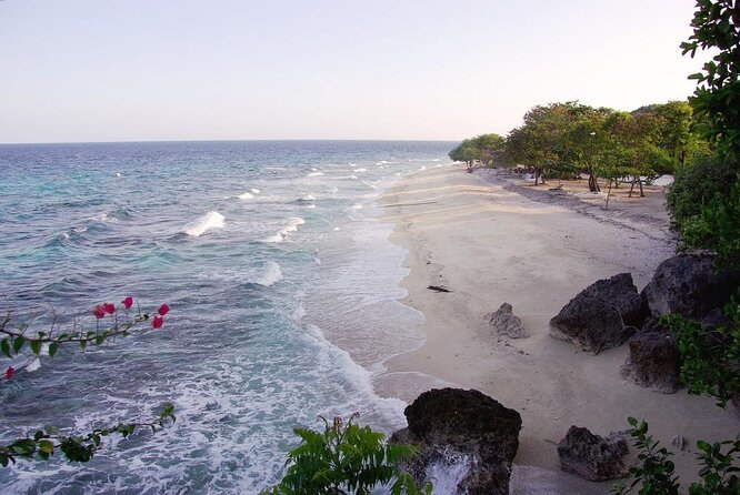 Whale Shark & Tumalog Falls & Sumilon Sandbar & Pescador Island with Sardines - Key things to know before you go