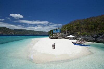 Whale Shark & Tumalog Falls & Sumilon Sandbar & Pescador Island with Sardines