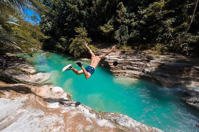 Whale Shark Watching & Tumalog Falls & Kawasan Falls - Price and group size: is $360 really value?