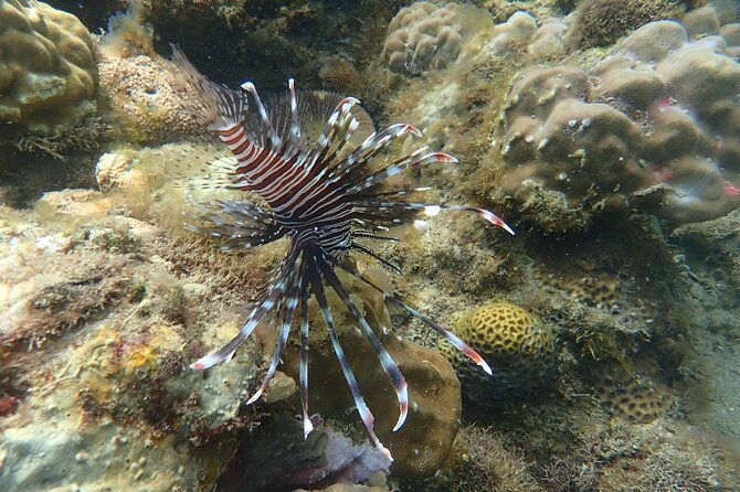 Wonderful Snorkeling Trip from Manila! updated 2023*** - What to Bring for Comfort and Cleanliness